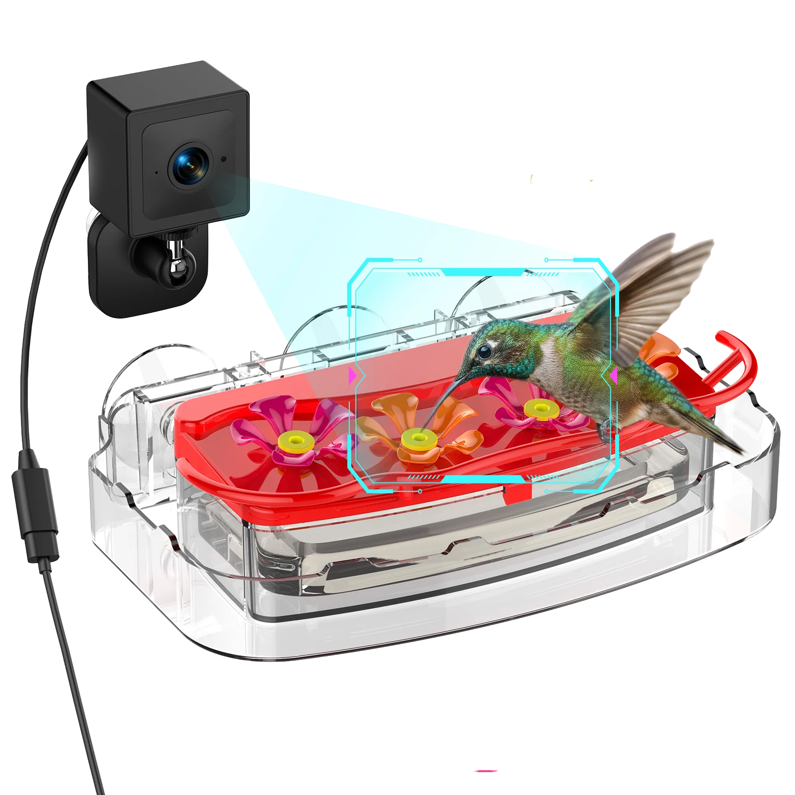 COOLFLY Nectlee Smart Window Hummingbird Feeder